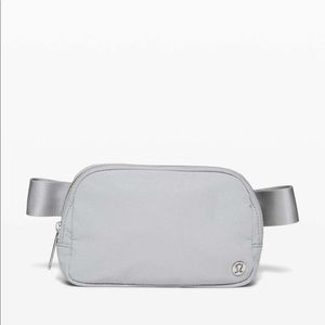 NWT Everywhere Belt Bag- Silver Drop